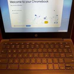 HP Chromebook 