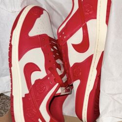 New In Box Women’s Nikes Size 9 