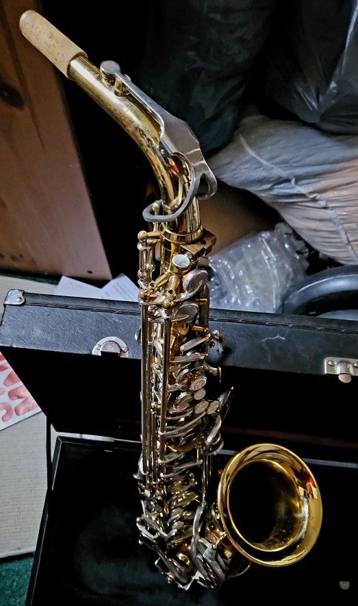 Pro Horn Selmer Alto saxophone Sax
