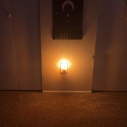 100% Natural Himalayan Salt Night Light 