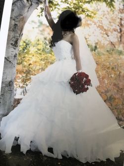Ball gown wedding dress