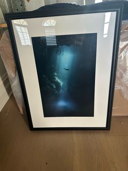Scuba Print
