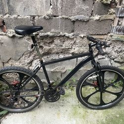 Mtn Bike