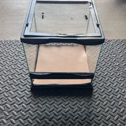 Small Lizard Tank