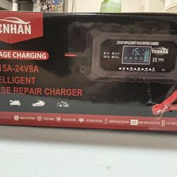 Intelligent pulse repair charger