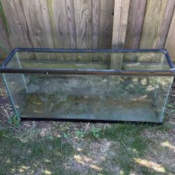 Reptile(or Fish) Tank- Read Description. 
