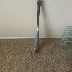 2024 Demarini The Goods 