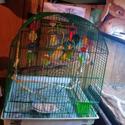 Bird Cage & Supplies 