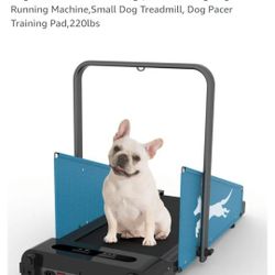 Dog Treadmill