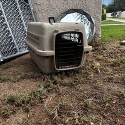 pet carrier 