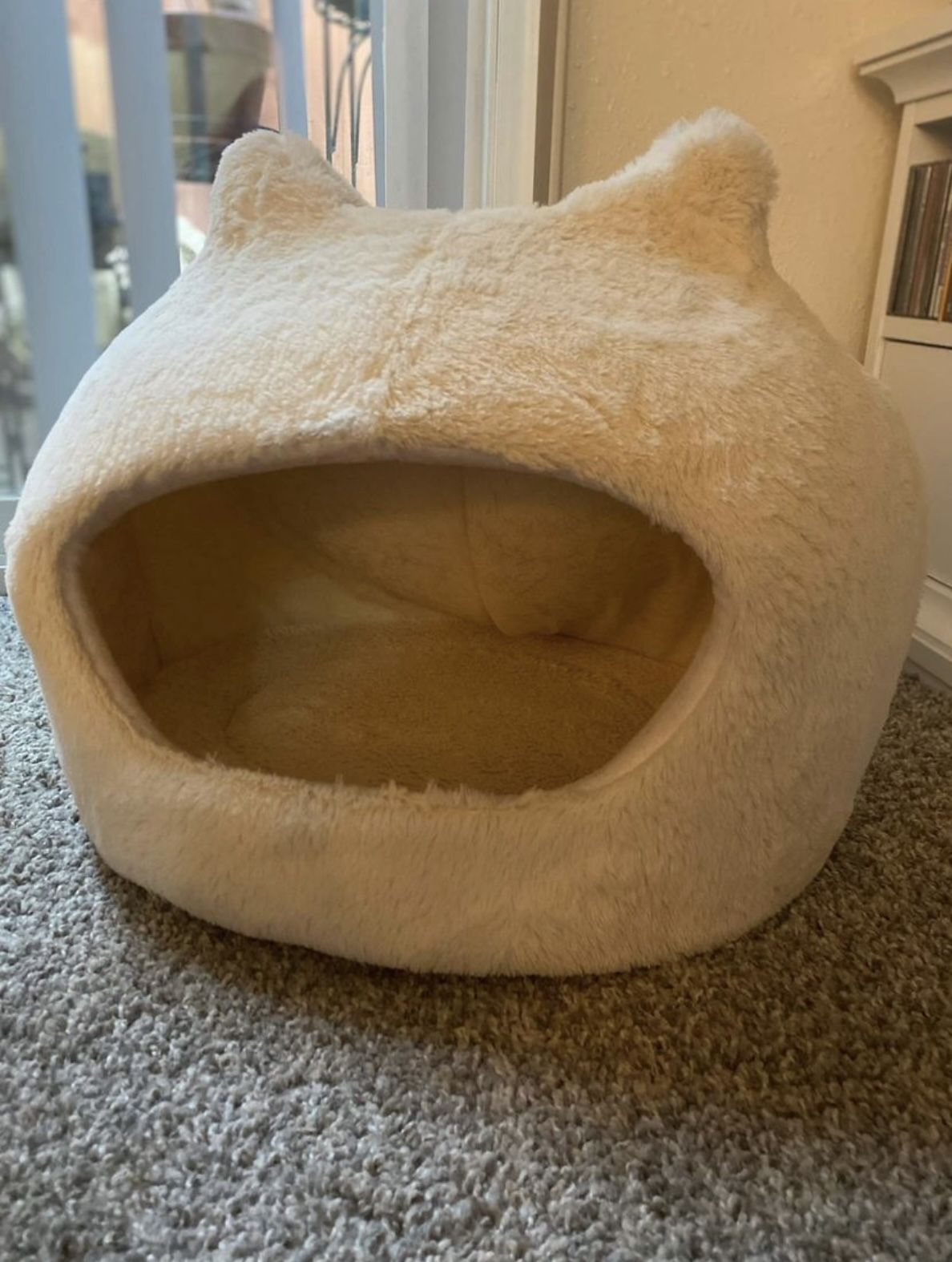Ivory Cat Dome