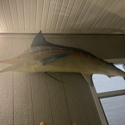 Swordfish