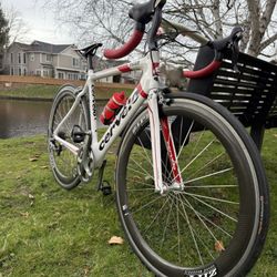 Cervelo - 51cm (ultegra Groupset)