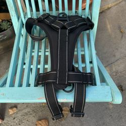 KONG Dog Harness 