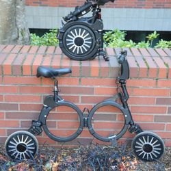 Folding Electric Scooter