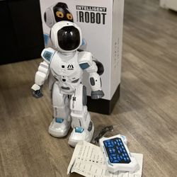 Intelligent Robot Toy