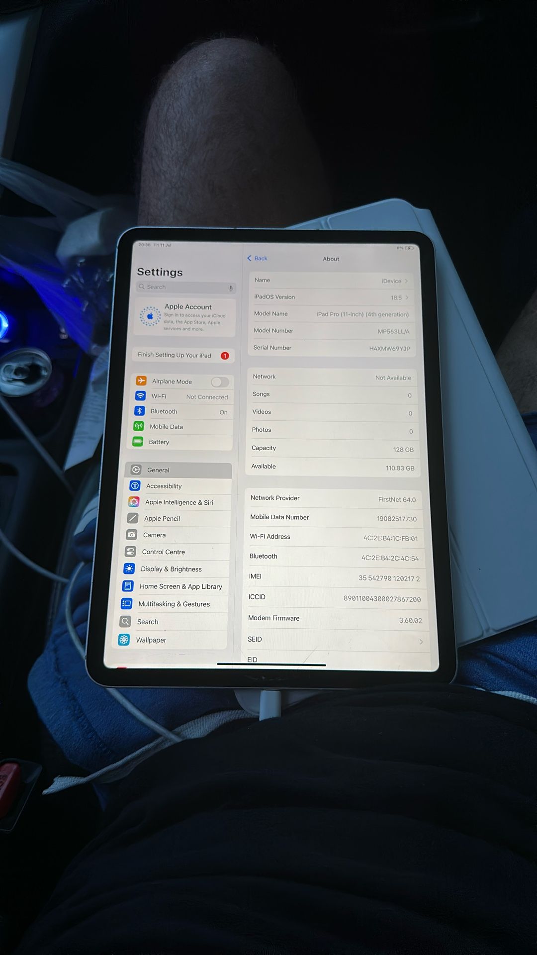 Apple iPad