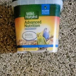 Parakeet Food