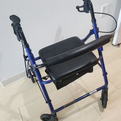 Drive Mobility Walker