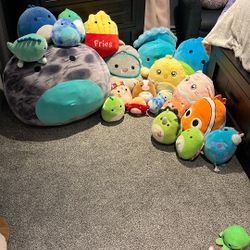 Squishmallows MAKE OFFER