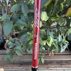Shimano Terez 7’8 50-100lb