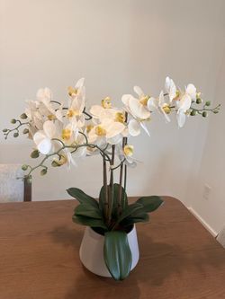 Artificial orchid