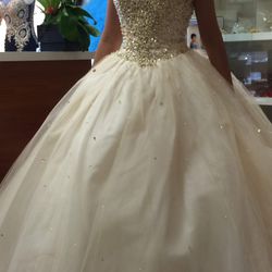 Quinceanera/Sweet 16 Dress/Ball Gown