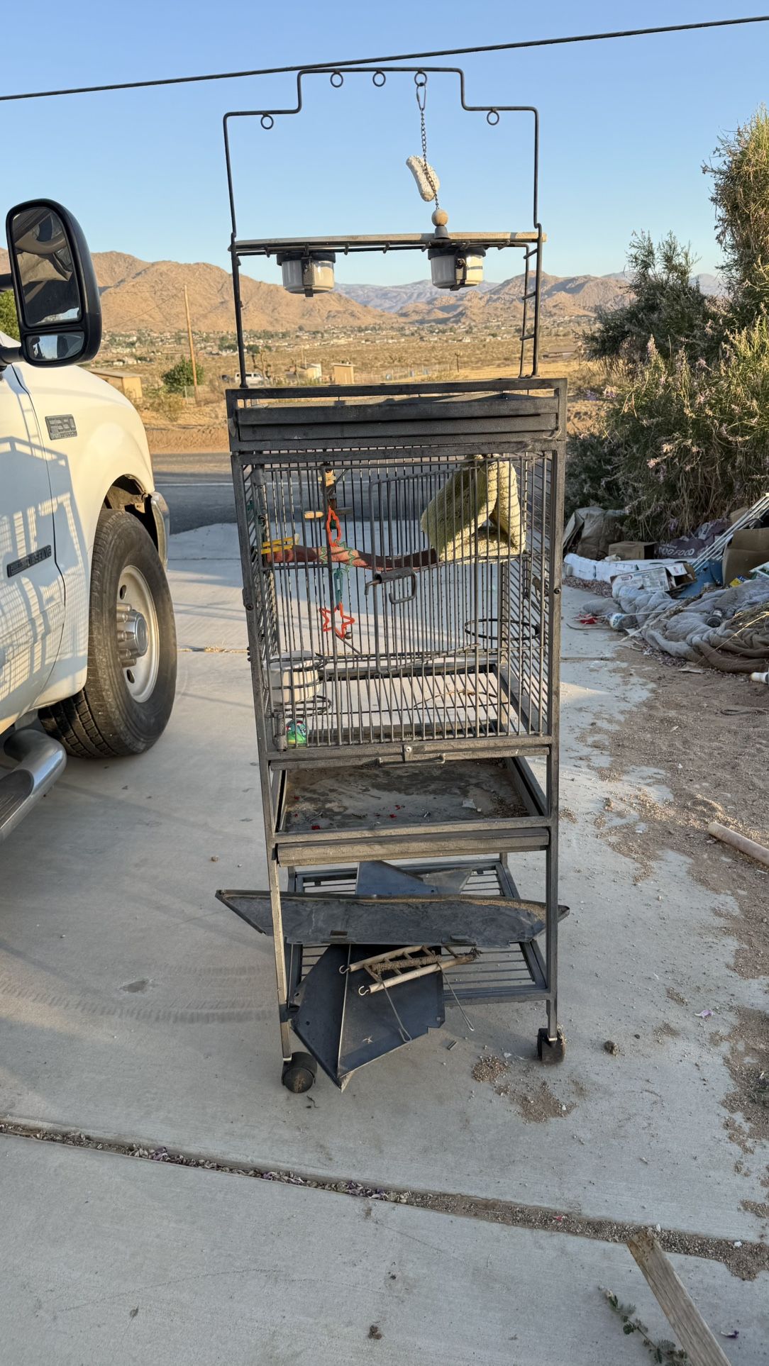 Bird Cage