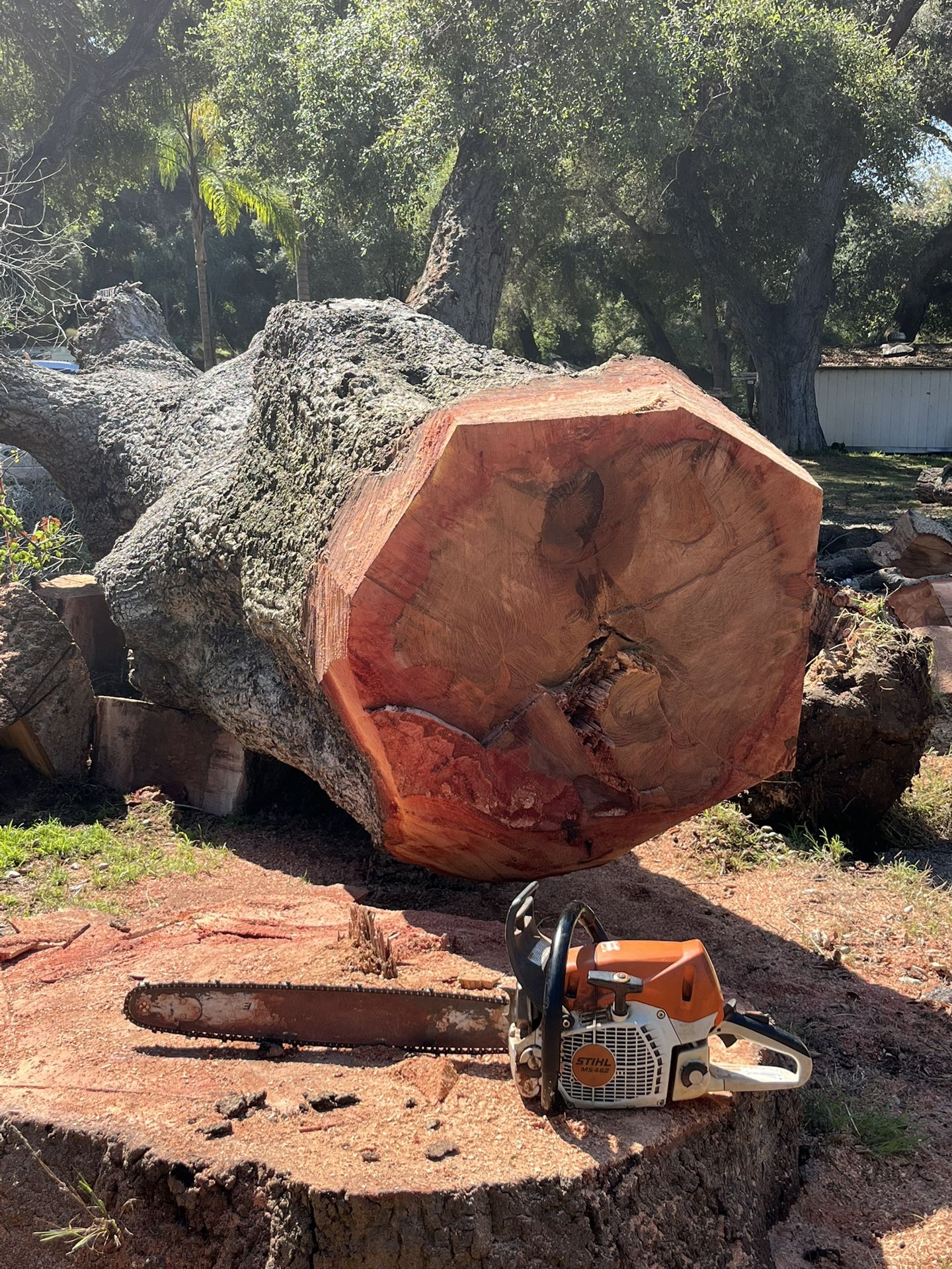 Firewood