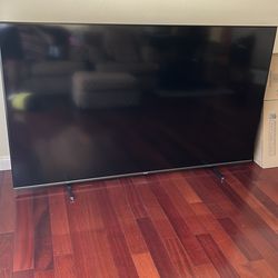 100” TV only 2 months old