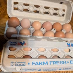 1 Dozen Free Range None Gmo Eggs 