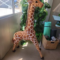 Girrafe Tall