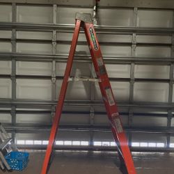 Ladder 6ft