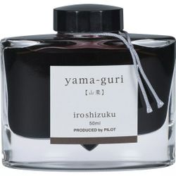 Bottle ink by Pilot