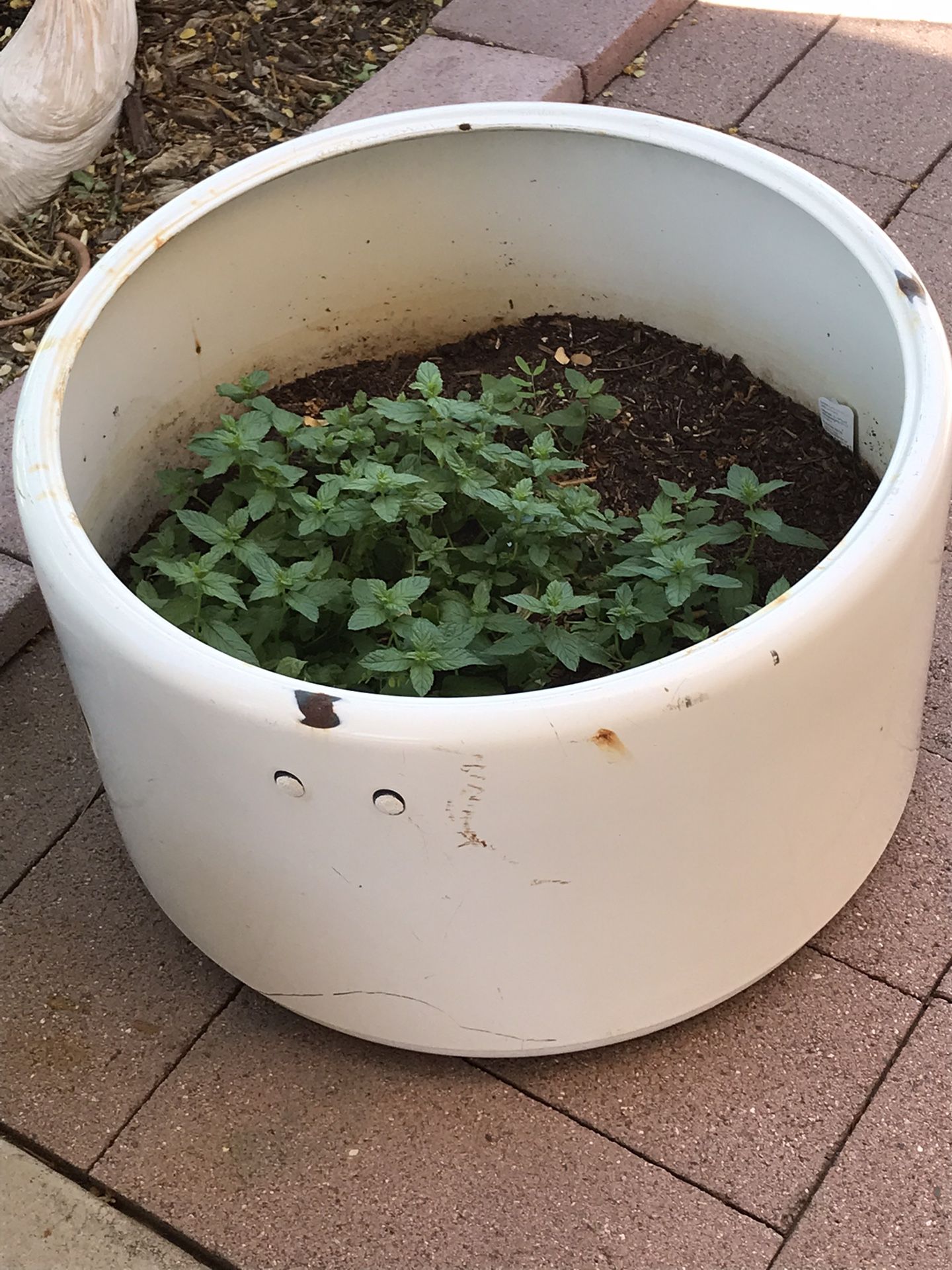 Planter - Old Ringer Washing Machine Tub