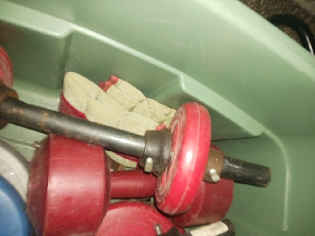 Ab Bench And Free Weights for Sale in Cleveland, OH OfferUp