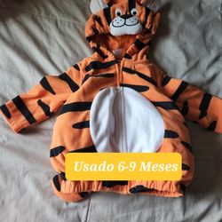 Baby Tiger Custom 