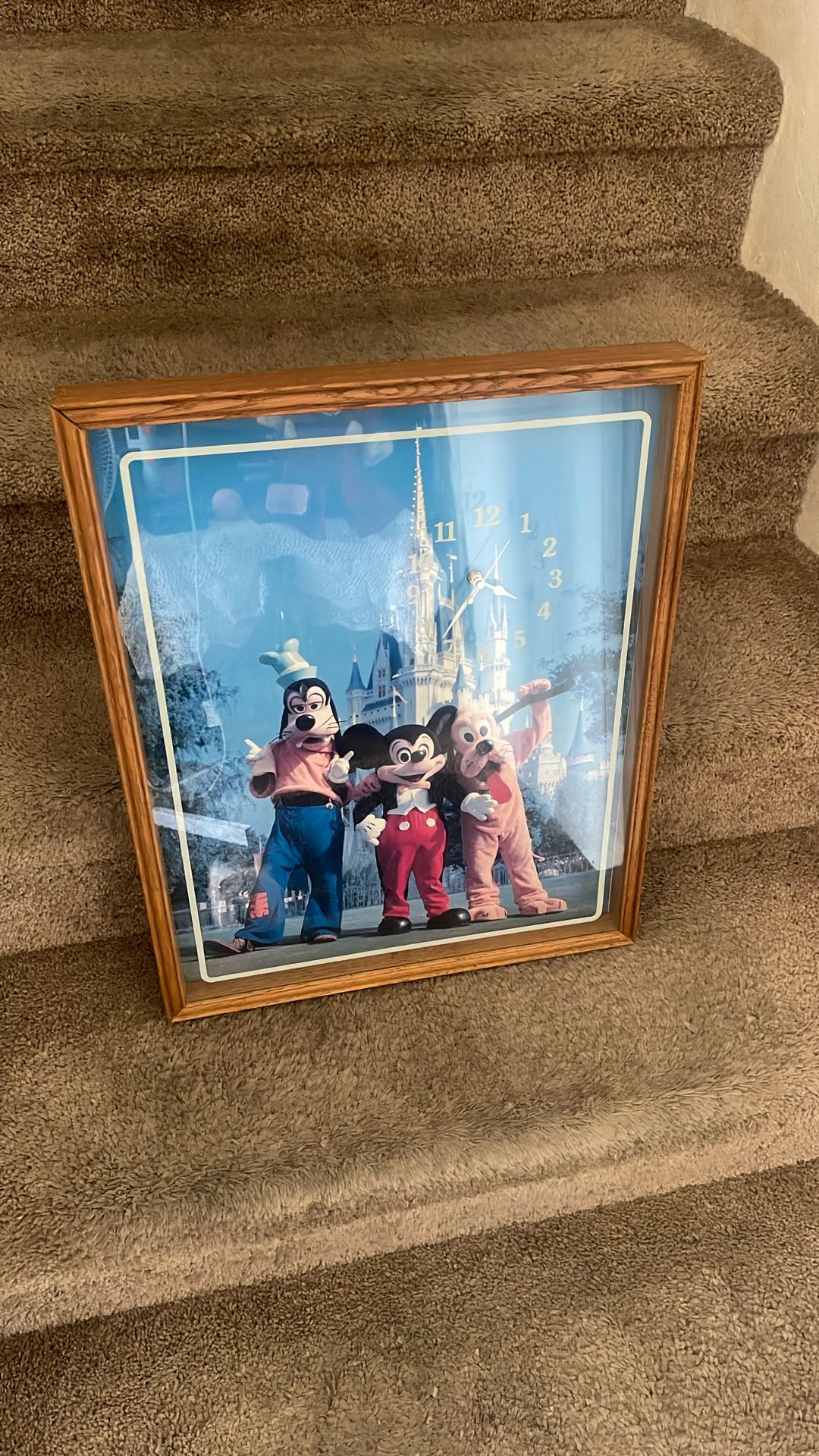 Walt Disney World Picture