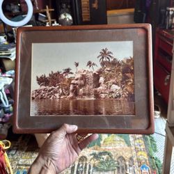 Vintage Framed Typhoon Lagoon Disney world 