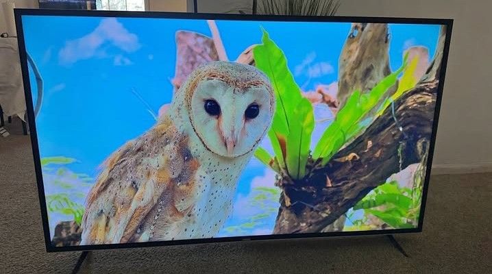 Vizio TV 60"