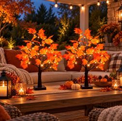 LED Fall Maple Tree Tabletop Decor Set of 2
