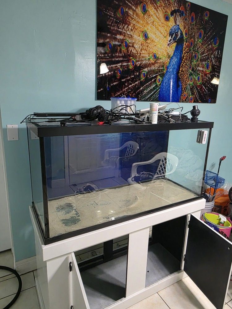 Aquarium