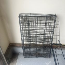 Used Dog Items