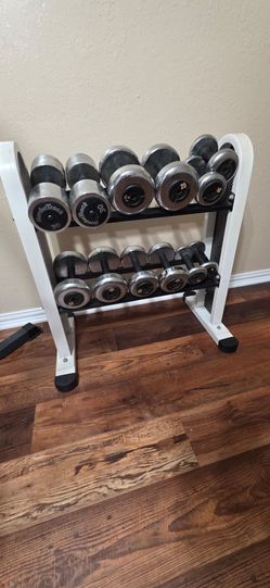 Weights and bench