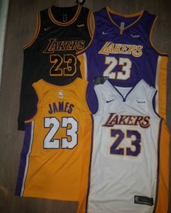 Lebron James Lakers