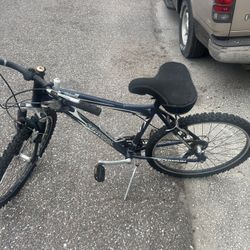 Schwinn Bike