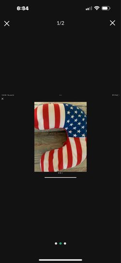 An American Flag Nick Rest