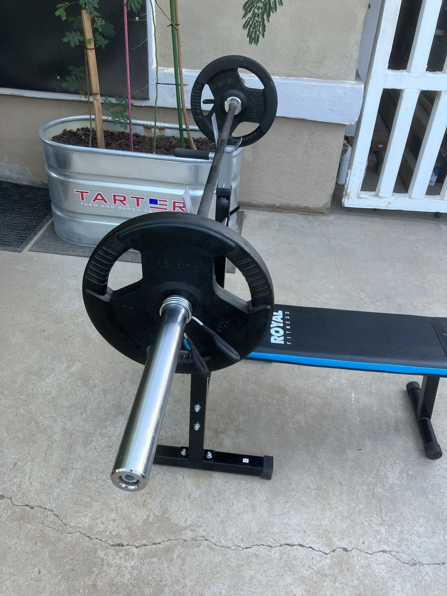 Bench Press With Weights And Olympic Bar