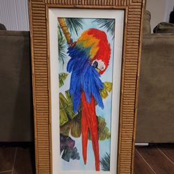  Framed Macaw Parrot Art with Bamboo Style Frame