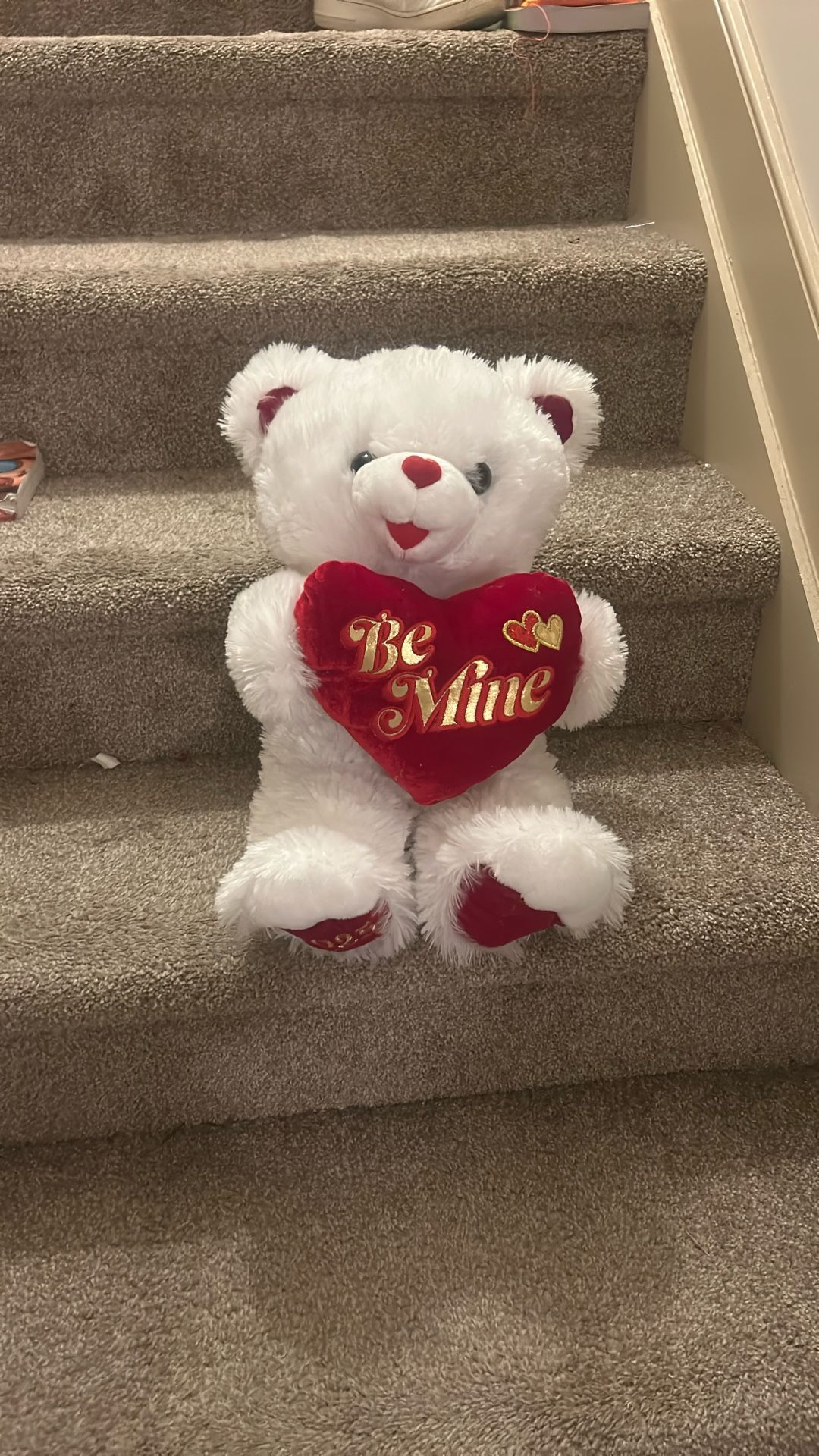 Be Mine Bear